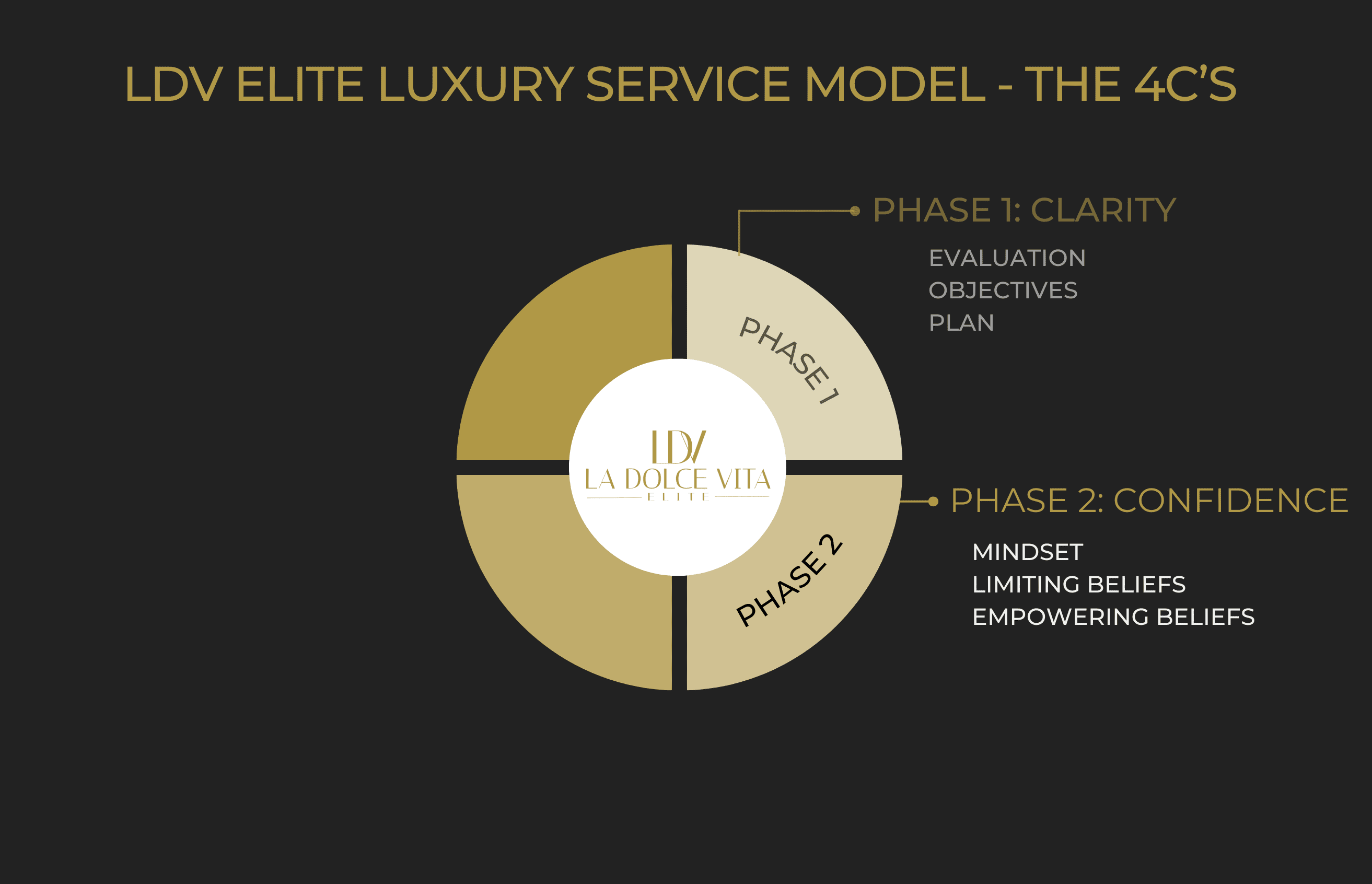 Luxury Business Model LDV Elite (3)